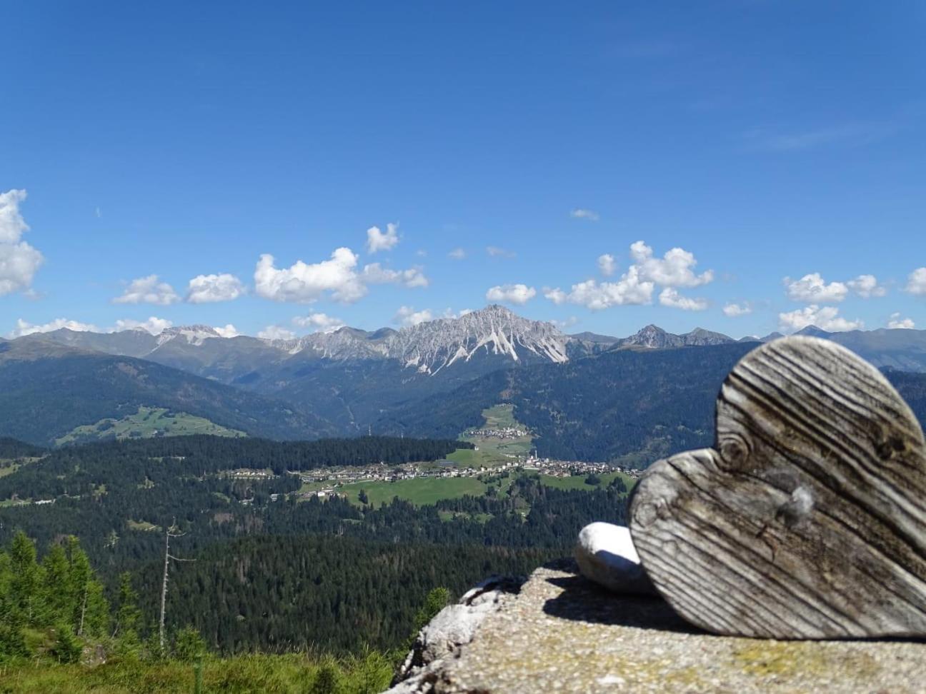 Appartamento Da Romano - Nel Cuore Delle Dolomiti Danta 外观 照片